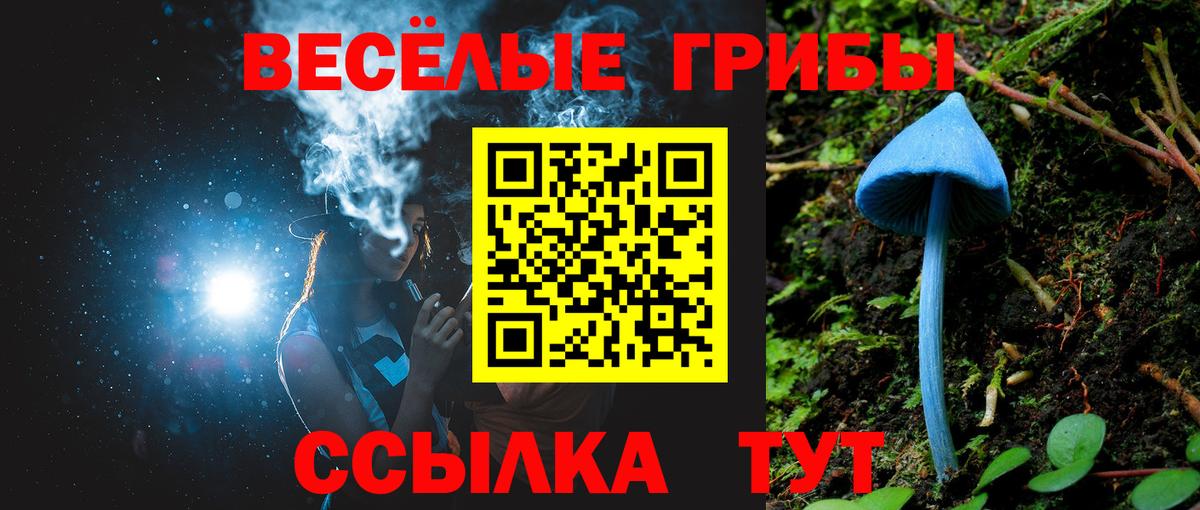 Псилоцибиновые грибы MAGIC MUSHROOMS  купить закладку  Железноводск  Вход с VPN 